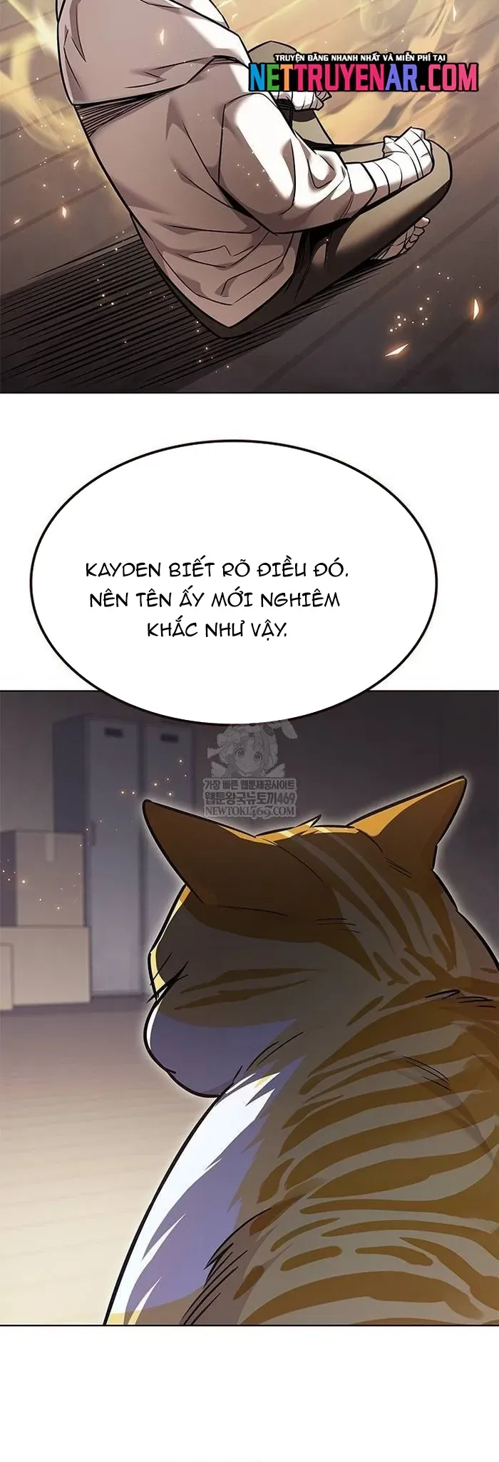 Hoá Thân Thành Mèo Chap 377 - Next Chap 376