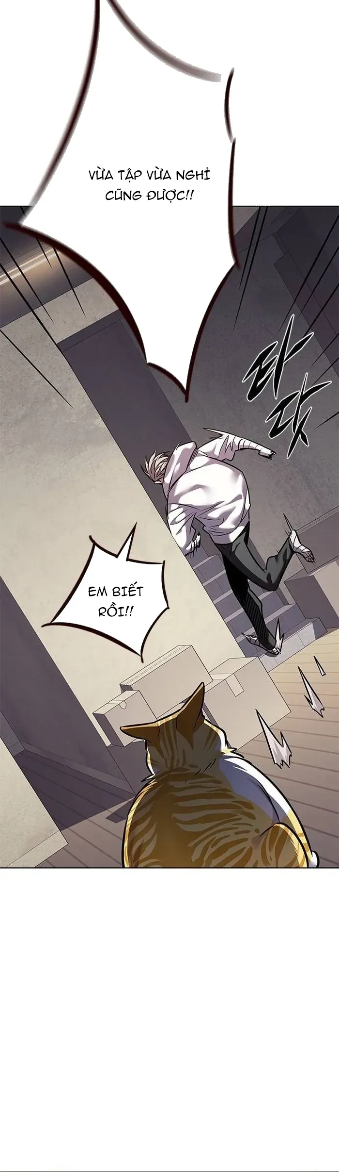 Hoá Thân Thành Mèo Chap 377 - Next Chap 376