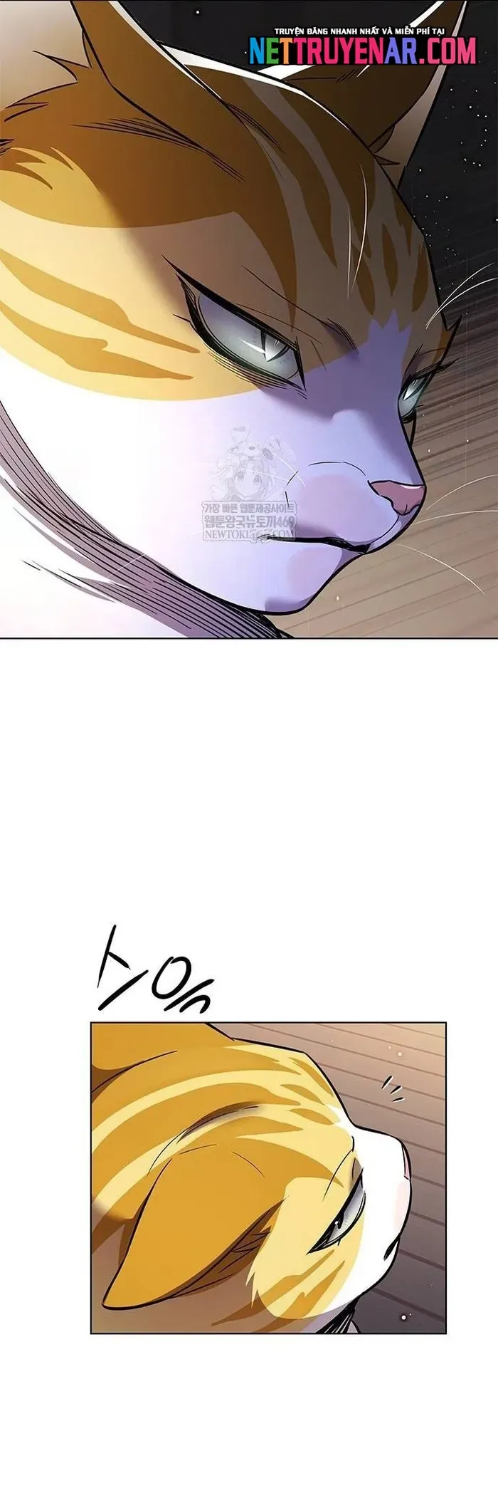 Hoá Thân Thành Mèo Chap 377 - Next Chap 376