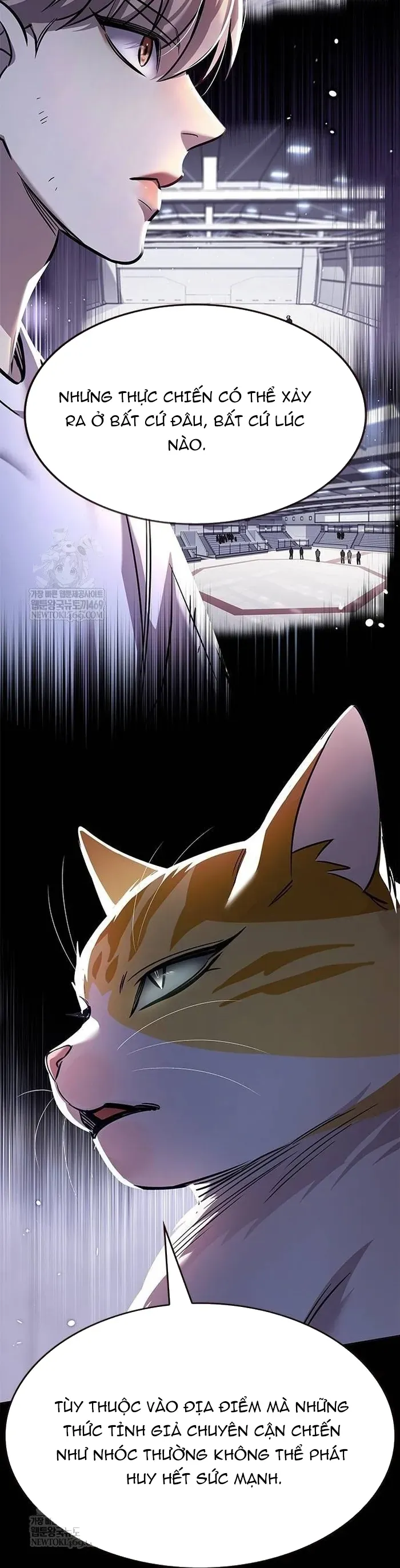 Hoá Thân Thành Mèo Chap 377 - Next Chap 376