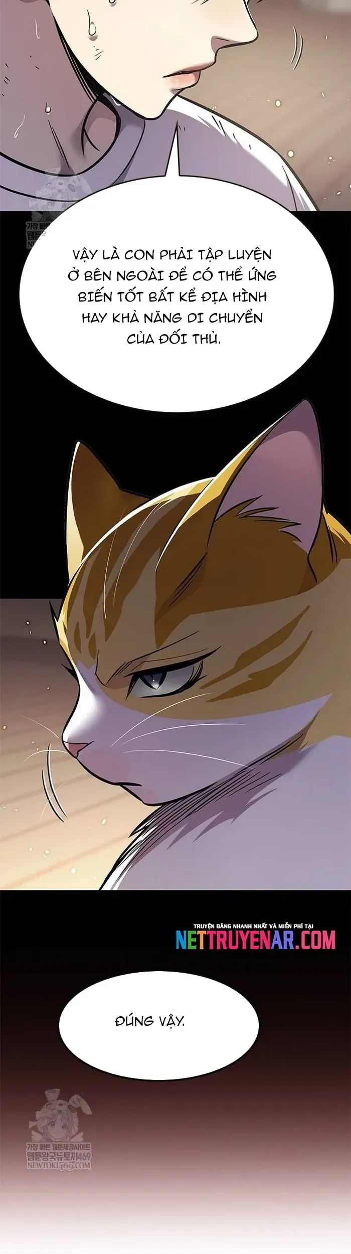 Hoá Thân Thành Mèo Chap 377 - Next Chap 376