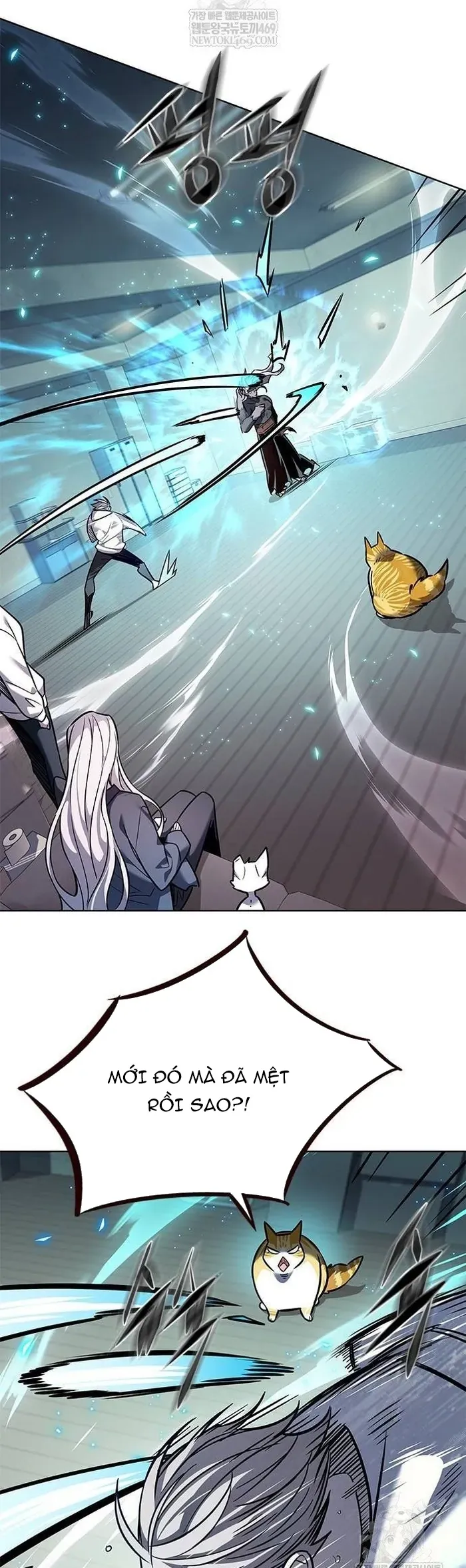 Hoá Thân Thành Mèo Chap 377 - Next Chap 376