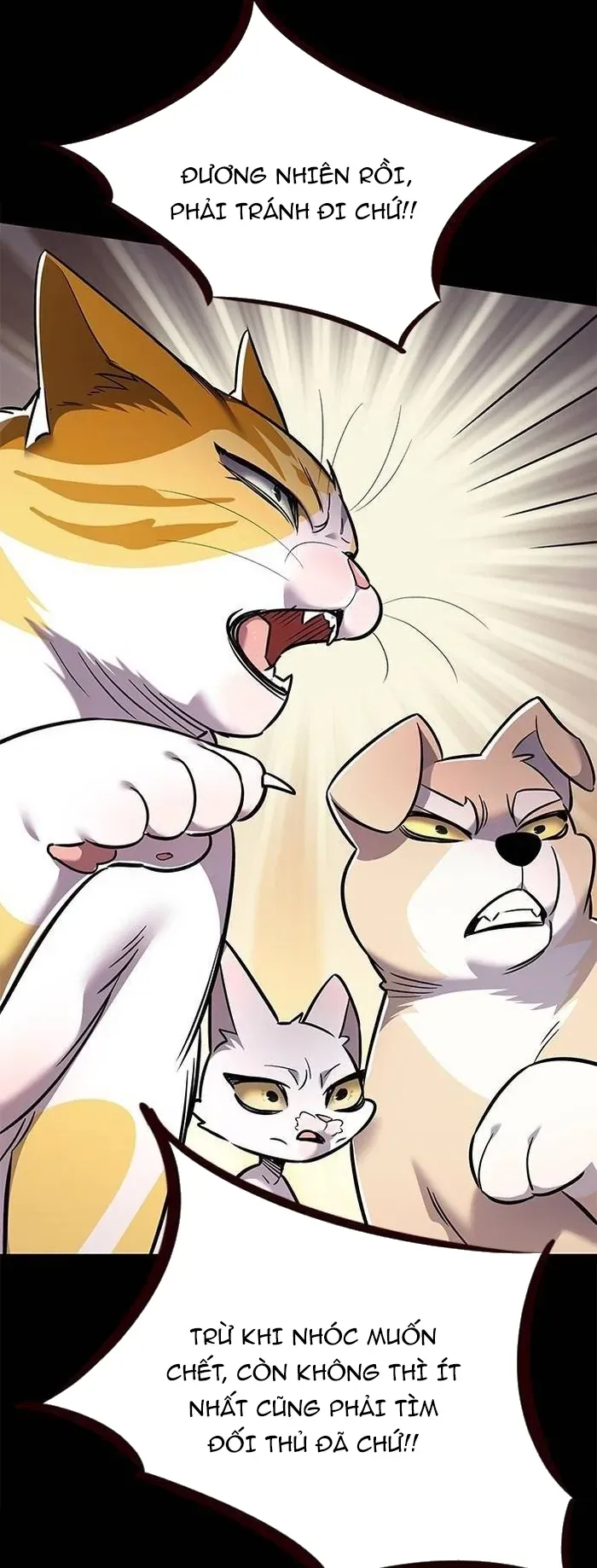 Hoá Thân Thành Mèo Chap 377 - Next Chap 376