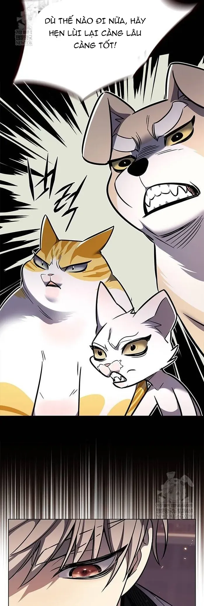 Hoá Thân Thành Mèo Chap 377 - Next Chap 376