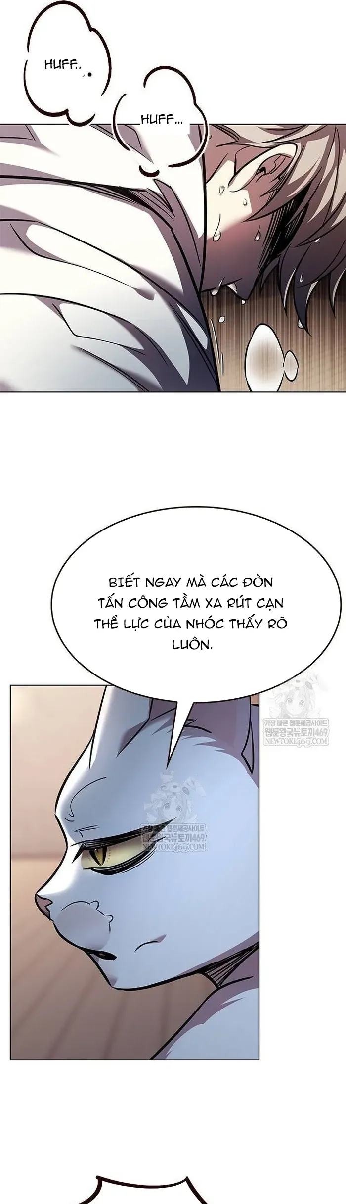 Hoá Thân Thành Mèo Chap 377 - Next Chap 376