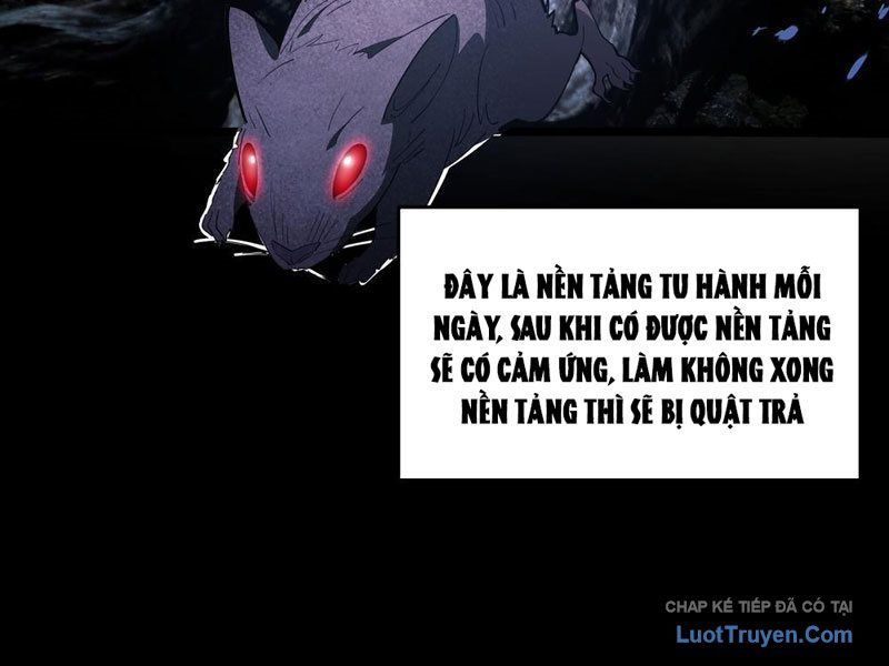 Phổ La Chi Chủ Chap 13 - Next Chap 12