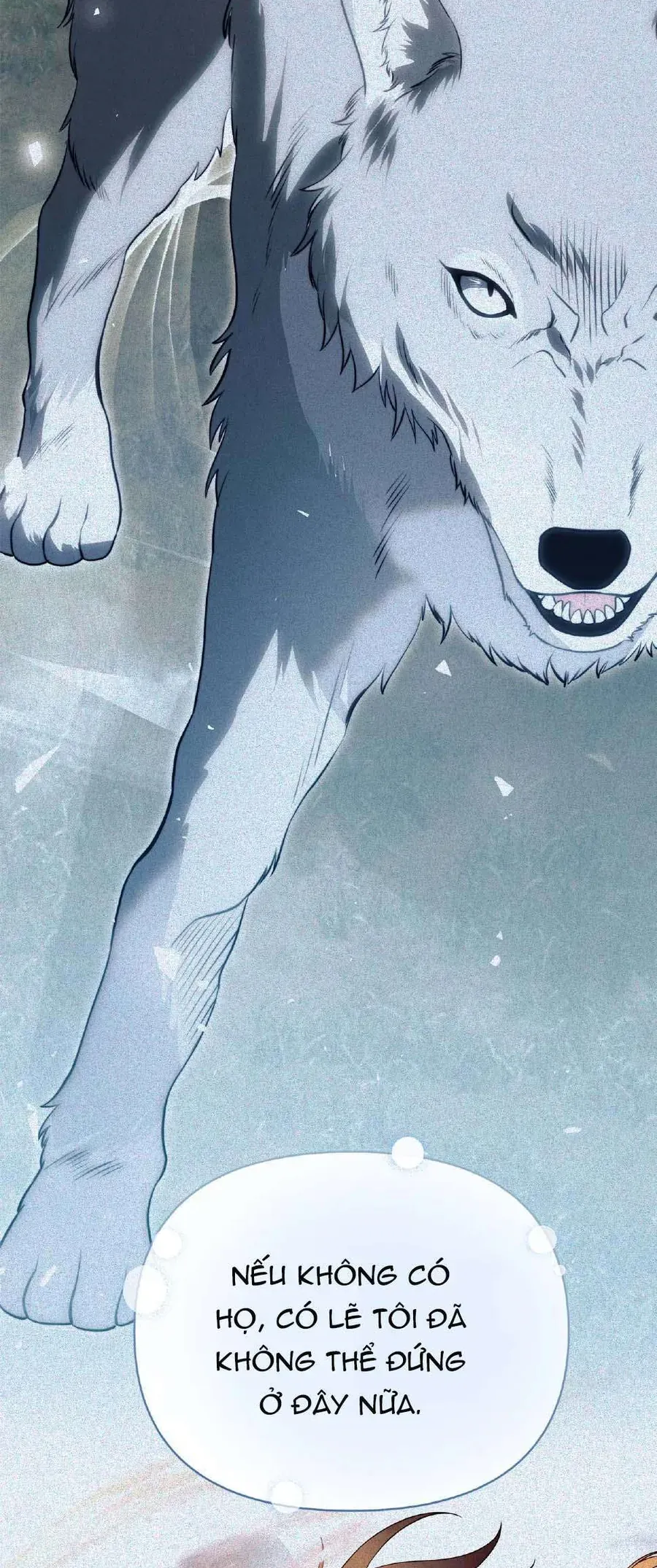 Có Nhiều Nam Chính Quá Đi! Chap 52 - Next Chap 51