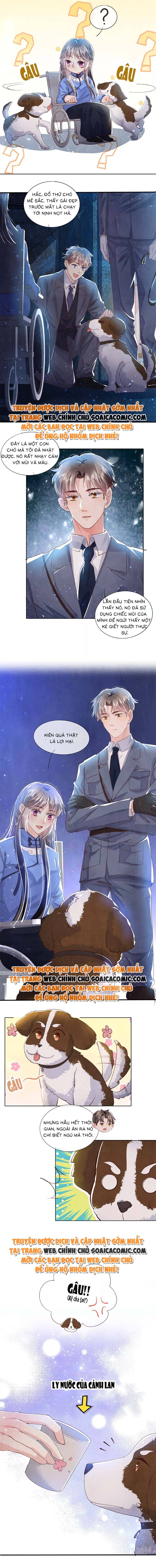 Mùa 2-Tôi Có Ông Chồng Hay Ghen [Chap 1-175]