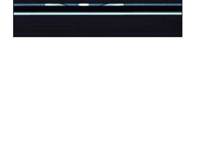 Cửa Hàng Đồ Cổ Tương Lai Chap 66 - Next Chap 65