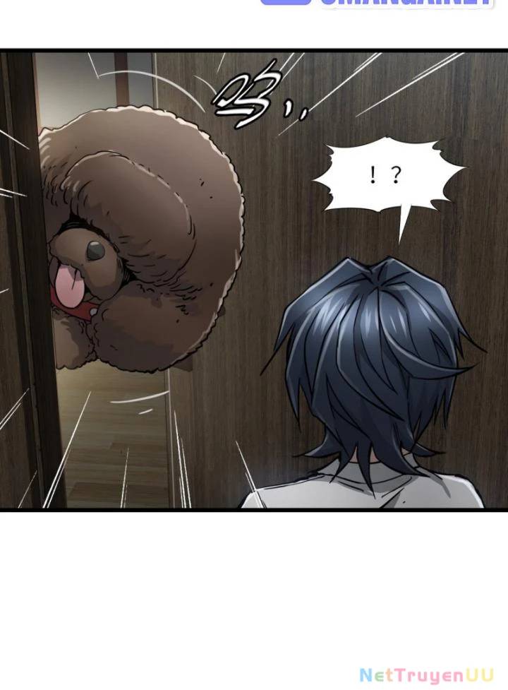 Bàn Tay Thần Thánh Chap 13 - Next Chap 12