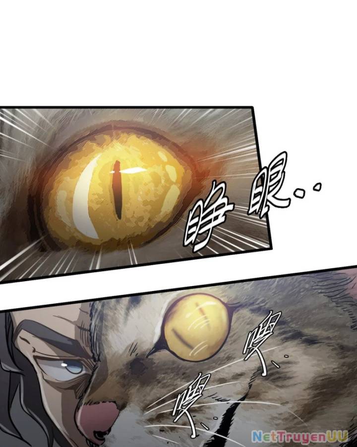 Bàn Tay Thần Thánh Chap 14 - Next Chap 13