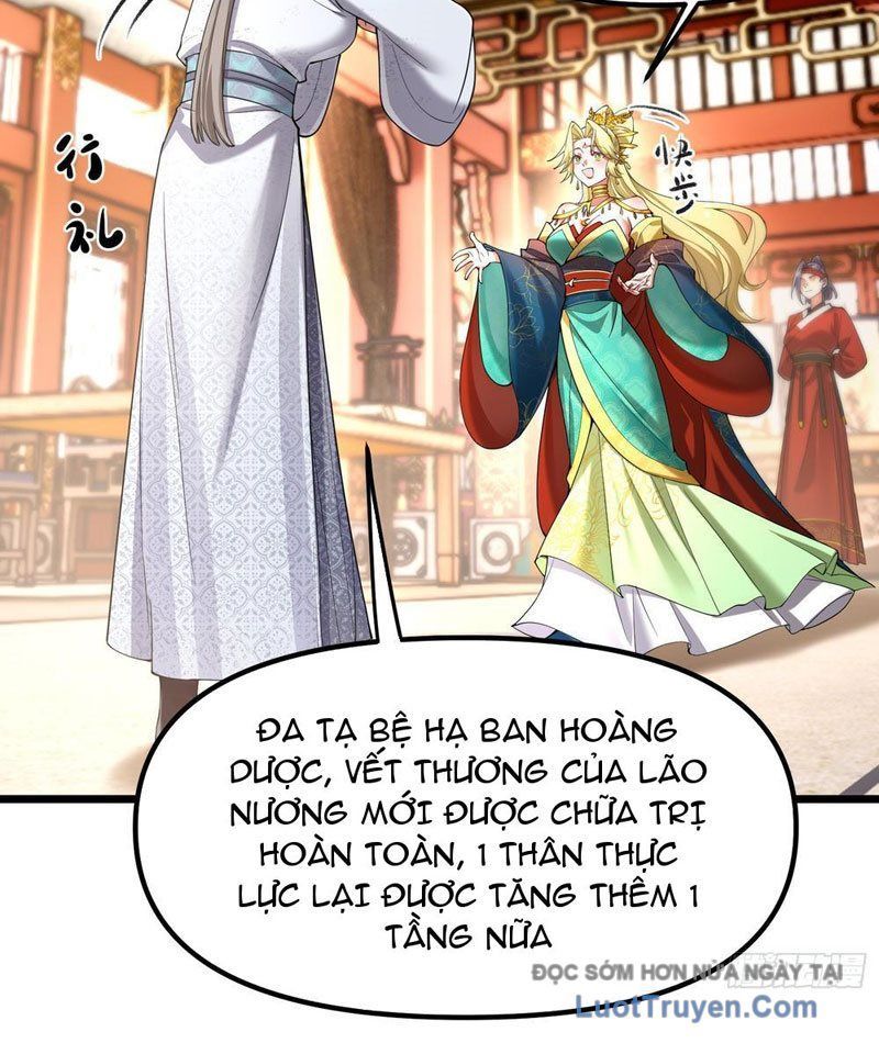 Kim Đan To Bằng Hằng Tinh! Ngươi Gọi Đây Mà Là Tu Tiên Á?! Chap 11 - Next Chap 10