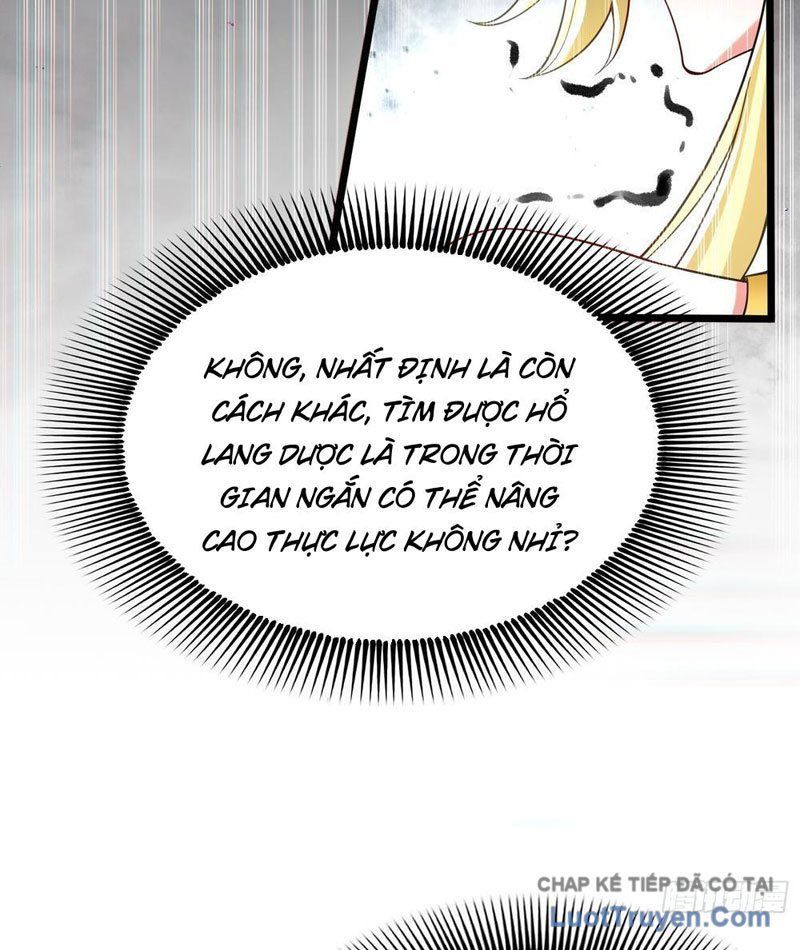 Kim Đan To Bằng Hằng Tinh! Ngươi Gọi Đây Mà Là Tu Tiên Á?! Chap 12 - Next Chap 11
