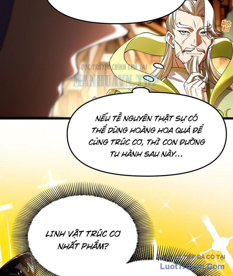 Kim Đan To Bằng Hằng Tinh! Ngươi Gọi Đây Mà Là Tu Tiên Á?! Chap 12 - Next Chap 11