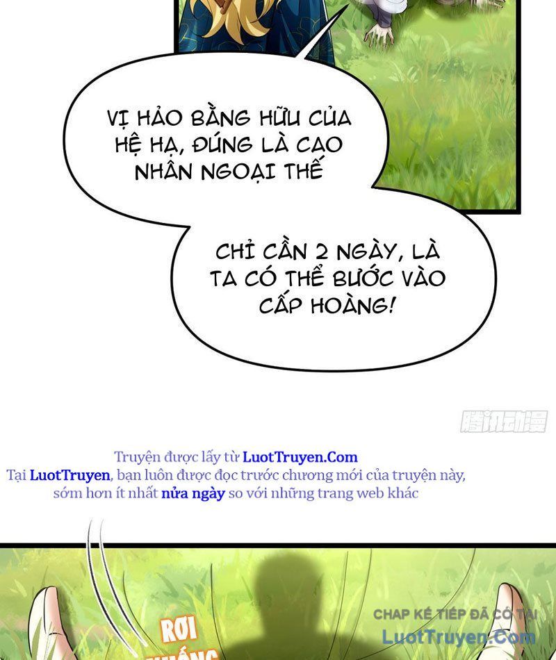 Kim Đan To Bằng Hằng Tinh! Ngươi Gọi Đây Mà Là Tu Tiên Á?! Chap 12 - Next Chap 11