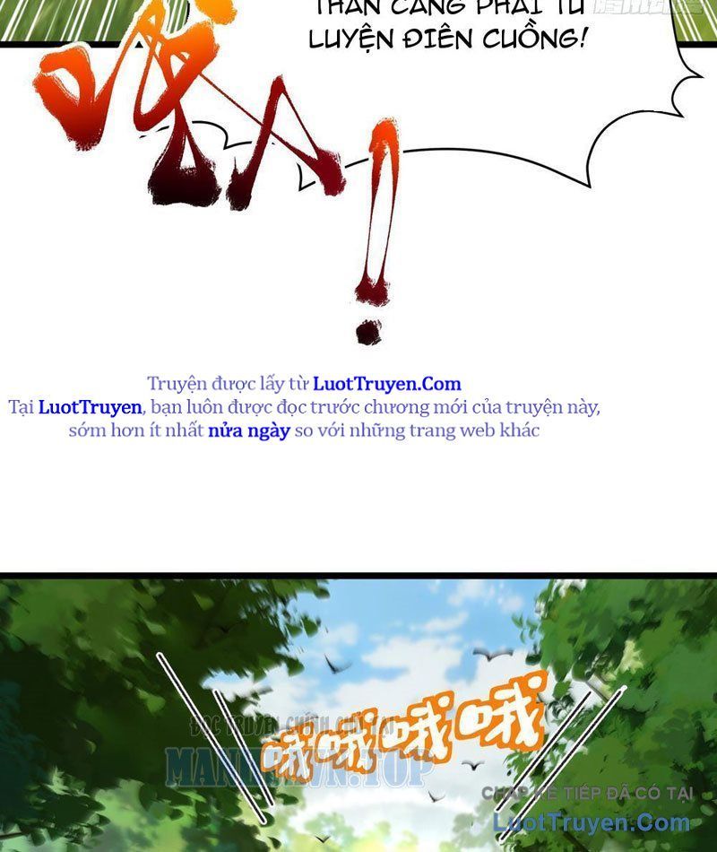 Kim Đan To Bằng Hằng Tinh! Ngươi Gọi Đây Mà Là Tu Tiên Á?! Chap 12 - Next Chap 11