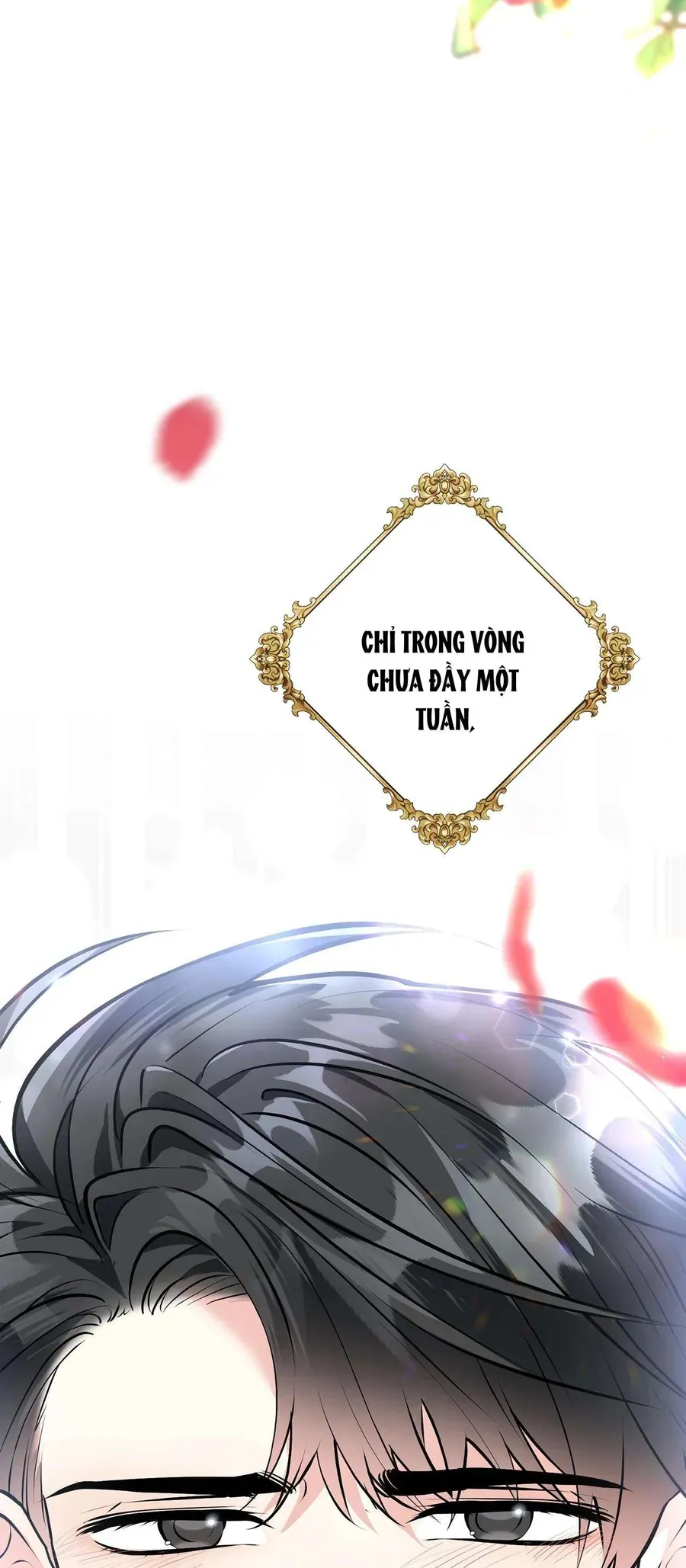 Quả Đào Mật Tháng 6 Chap 19 - Next Chap 18