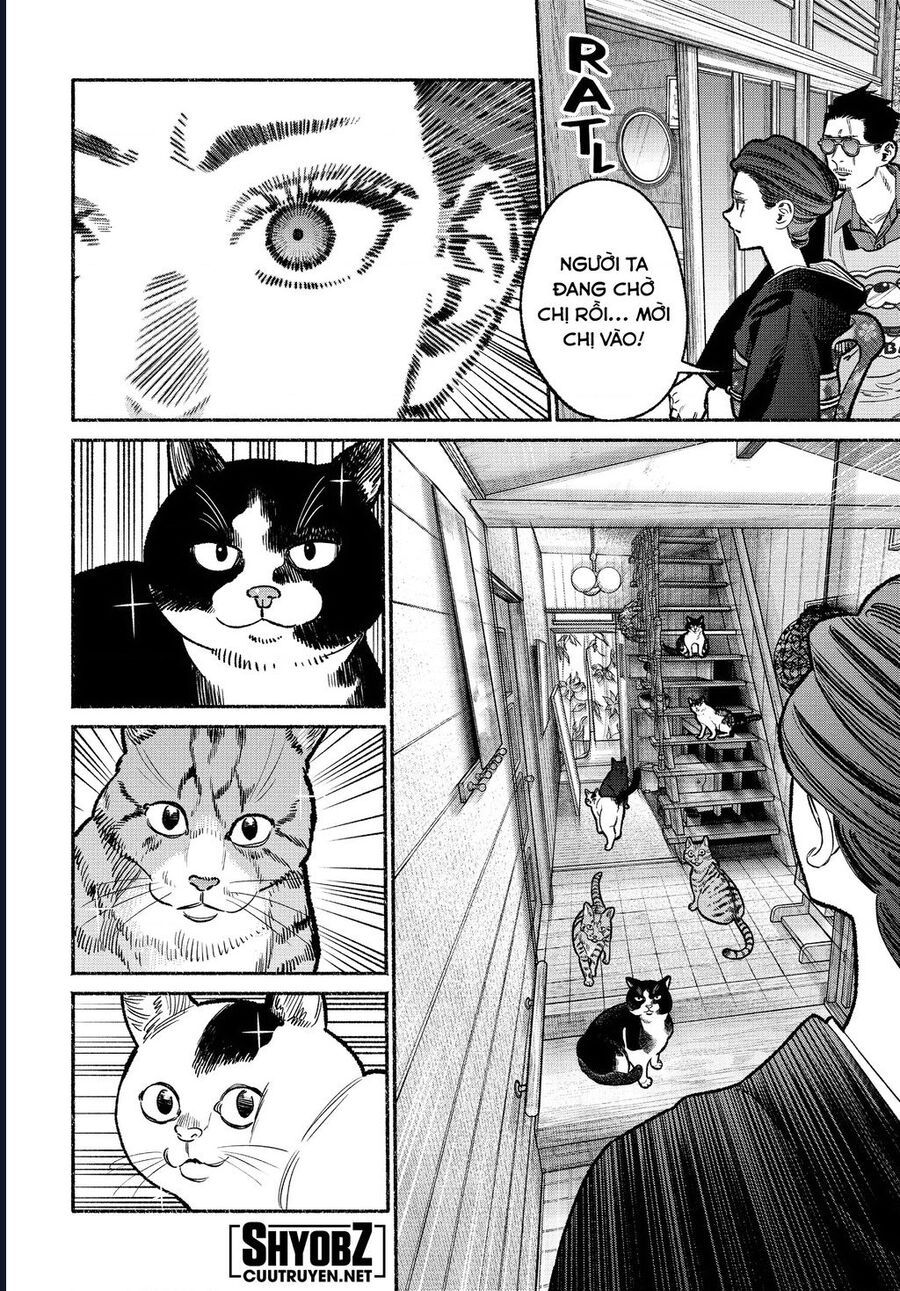 Ông chồng Yakuza nội trợ Chap 118 - Next Chap 117