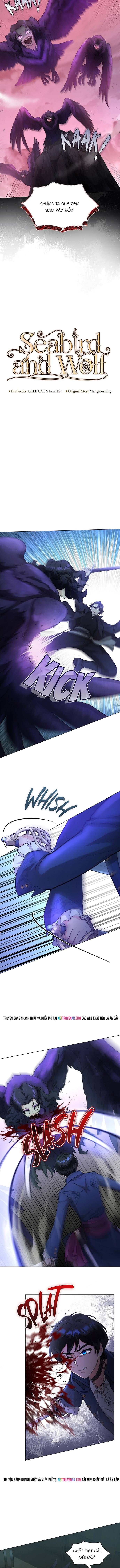 Hải Âu & Sói Hoang Chap 55 - Next Chap 54