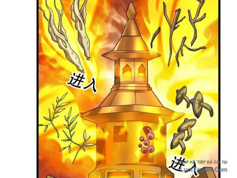 Tiên Làm Nô Thần Là Bộc, Đại Đế Làm Chó Giữ Nhà Chap 79 - Next Chap 78