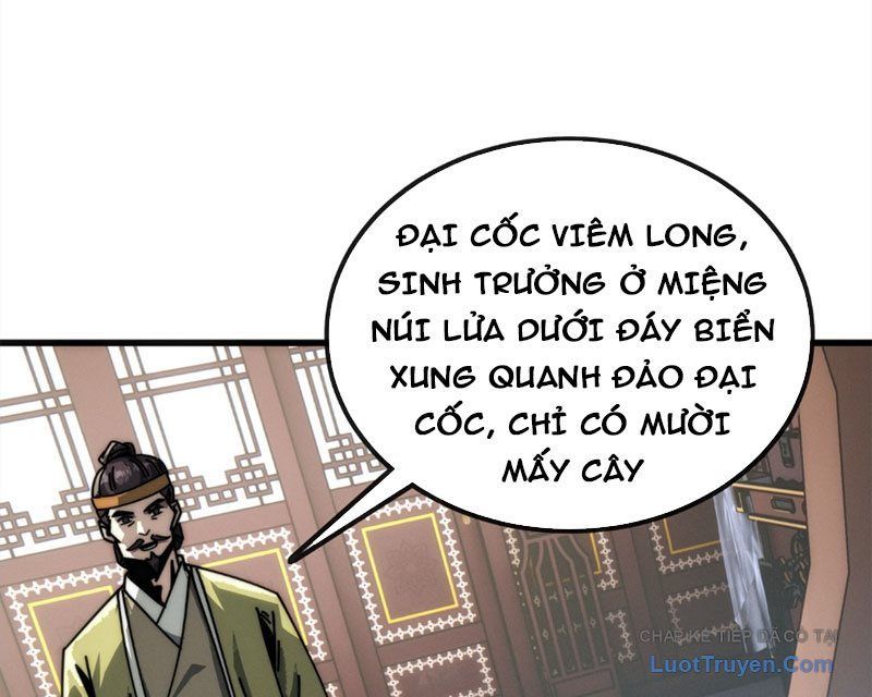 Ta Mô Phỏng Con Đường Trường Sinh Chap 13 - Next Chap 12