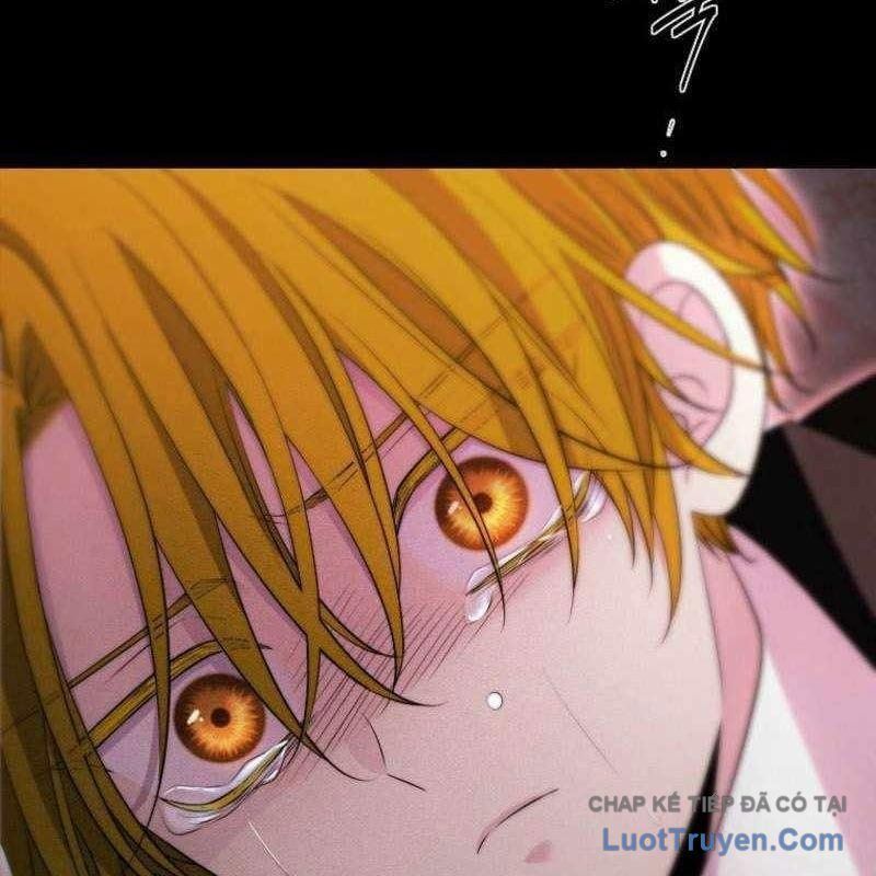 Ngục Tối Black Haze Chap 49 - Next Chap 48