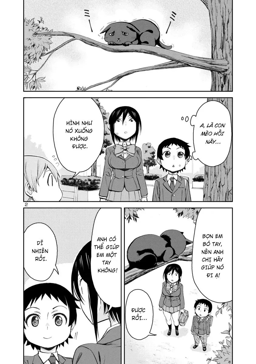 Hitomi-chan wa Hitomishiri Chap 70 - Next Chap 69
