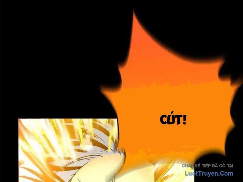 Hóa Ra Ta Là Đời Sau Của Yêu Quái Chap 59 - Next Chap 58