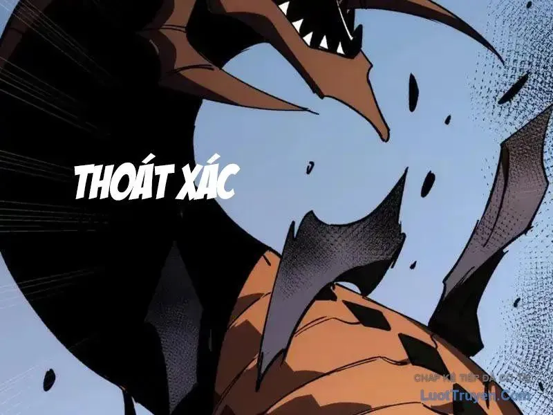 Tai Ách Giáng Lâm: Ta Tiến Hóa Thành Tinh Hồng Đế Vương Chap 29 - Next Chap 28