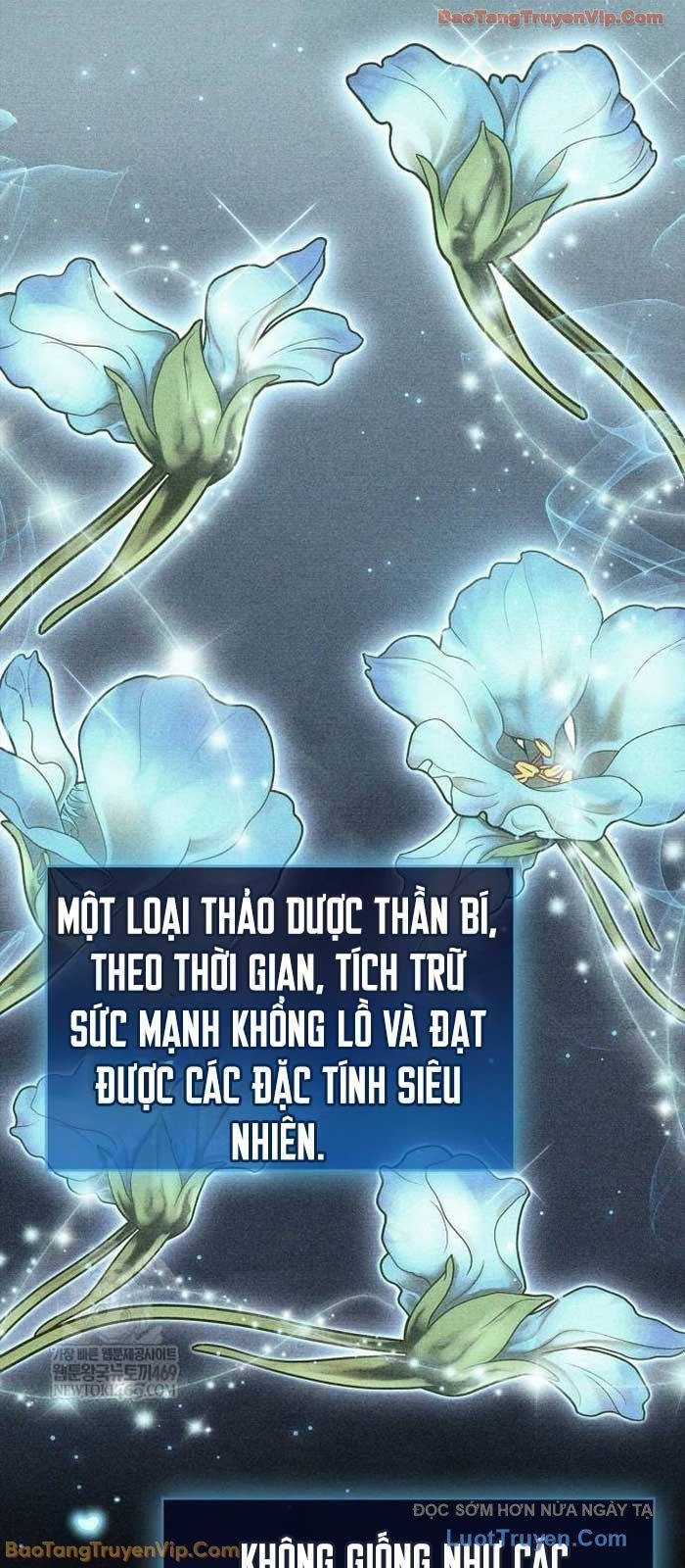 Người Chơi Che Giấu Quá Khứ Chap 97 - Next Chap 96