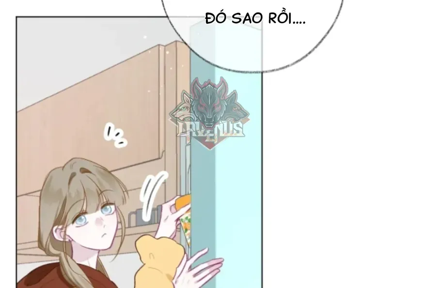 Decibel Nhịp Tim Chap 17 - Next Chap 16