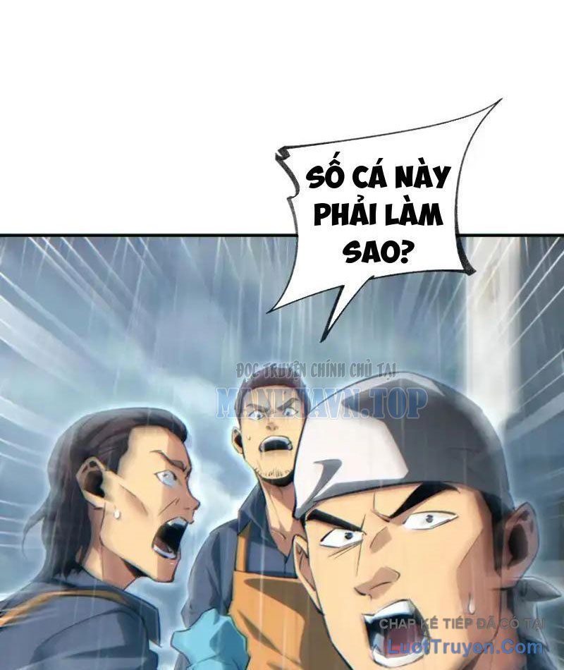 Mạt Thế Trùng Sinh: Ta Dựa Vào Mở Rương Vấn Dỉnh Đỉnh Phong Chapter 77 - AB Truyện