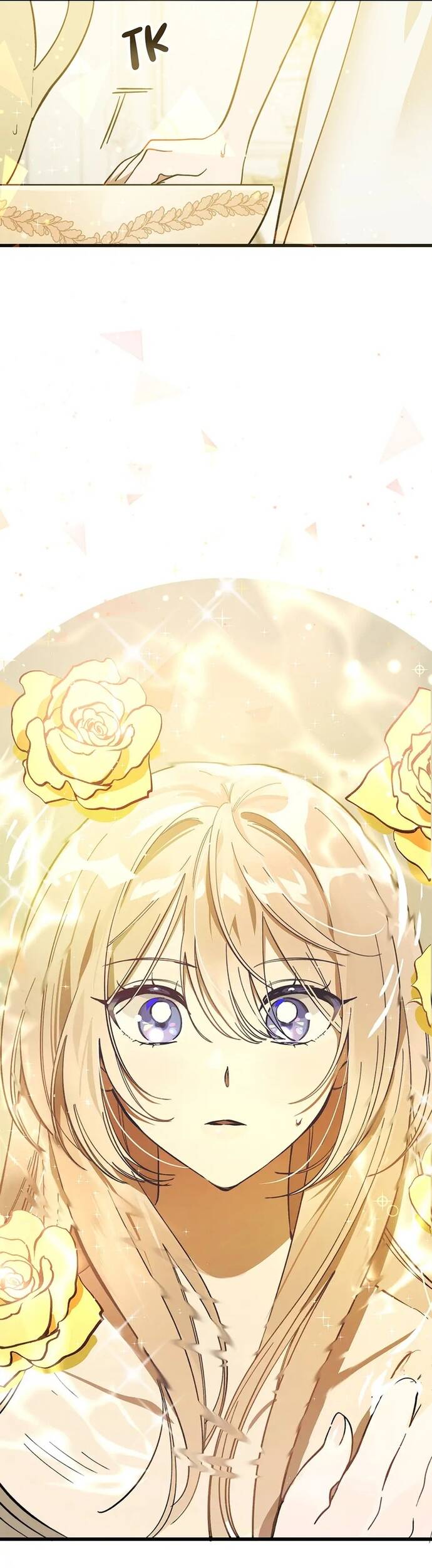 Bản Án Của Quý Tộc Suy Vong			 Chap 2 - Next Chap 1