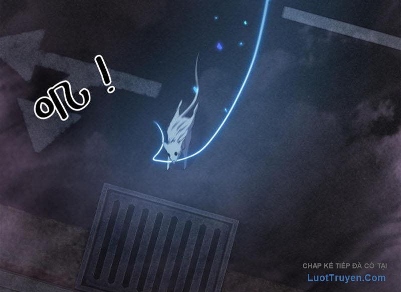 Ta Học Trảm Thần Trong Bệnh Viện Tâm Thần Chap 296 - Next Chap 295