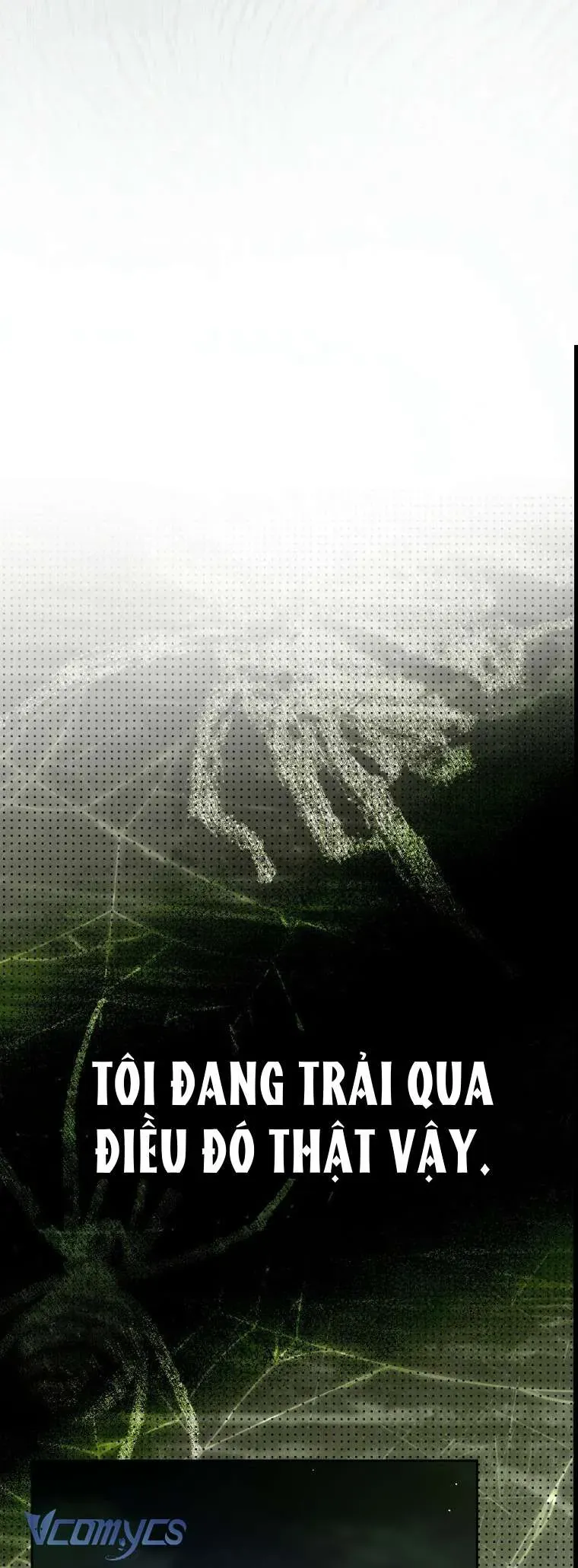 Người Vợ Hắc Ám Của Cậu Chồng Nhỏ Chap 28 - Next Chap 27