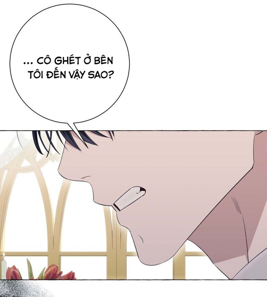 Không Phải Câu Chuyện Chuyển Sinh Thông Thường Chap 34 - Next Chap 33