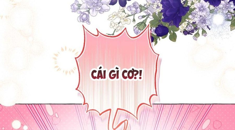 Không Phải Câu Chuyện Chuyển Sinh Thông Thường Chap 34 - Next Chap 33