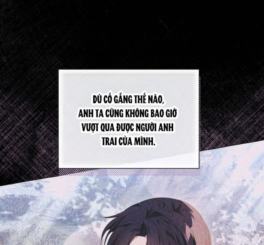 Không Phải Câu Chuyện Chuyển Sinh Thông Thường Chap 35 - Next Chap 34