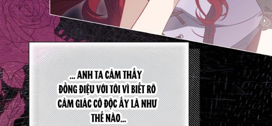 Không Phải Câu Chuyện Chuyển Sinh Thông Thường Chap 35 - Next Chap 34