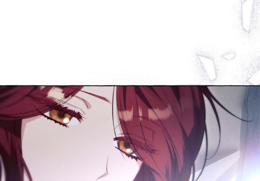 Không Phải Câu Chuyện Chuyển Sinh Thông Thường Chap 35 - Next Chap 34