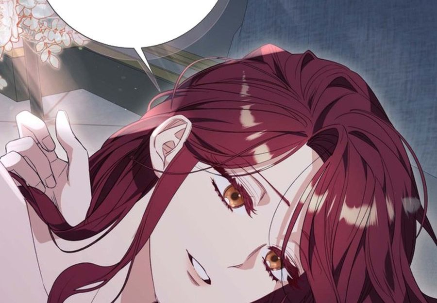 Không Phải Câu Chuyện Chuyển Sinh Thông Thường Chap 35 - Next Chap 34