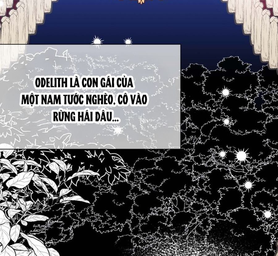 Không Phải Câu Chuyện Chuyển Sinh Thông Thường Chap 35 - Next Chap 34