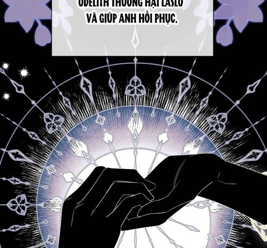 Không Phải Câu Chuyện Chuyển Sinh Thông Thường Chap 35 - Next Chap 34