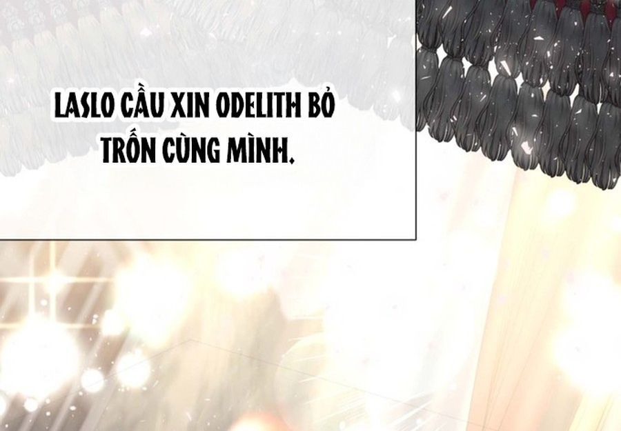 Không Phải Câu Chuyện Chuyển Sinh Thông Thường Chap 35 - Next Chap 34