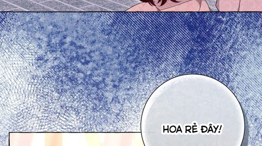 Không Phải Câu Chuyện Chuyển Sinh Thông Thường Chap 36 - Next Chap 35