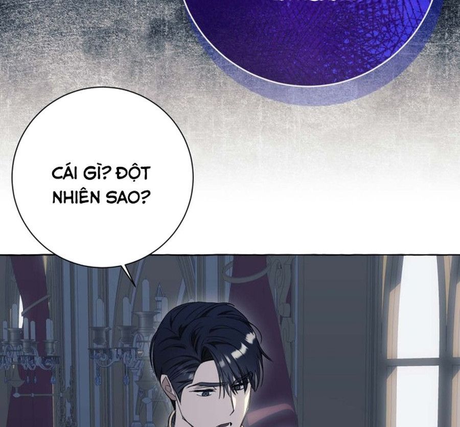 Không Phải Câu Chuyện Chuyển Sinh Thông Thường Chap 36 - Next Chap 35