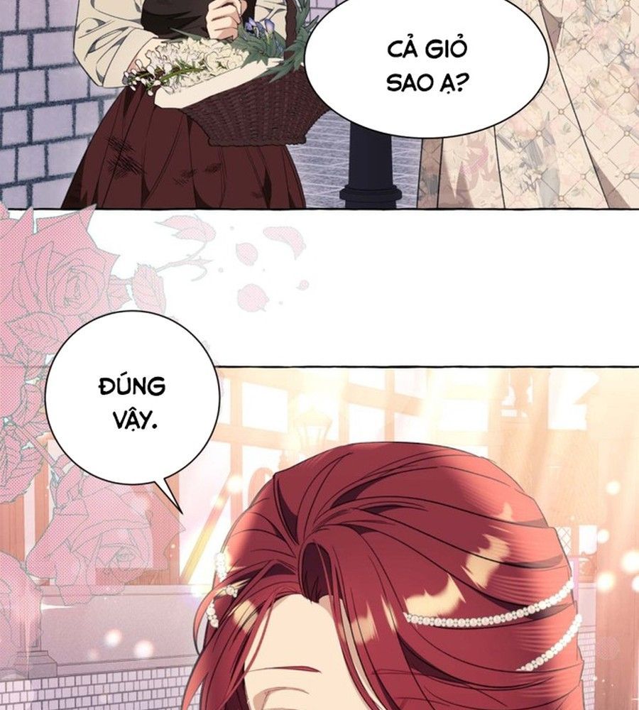 Không Phải Câu Chuyện Chuyển Sinh Thông Thường Chap 36 - Next Chap 35