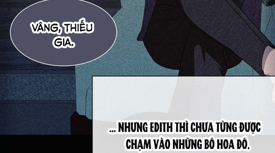 Không Phải Câu Chuyện Chuyển Sinh Thông Thường Chap 36 - Next Chap 35