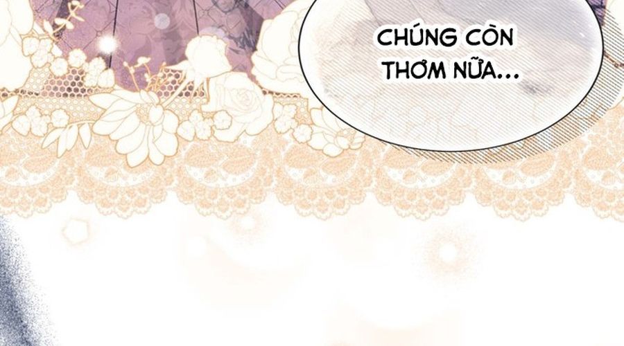 Không Phải Câu Chuyện Chuyển Sinh Thông Thường Chap 36 - Next Chap 35