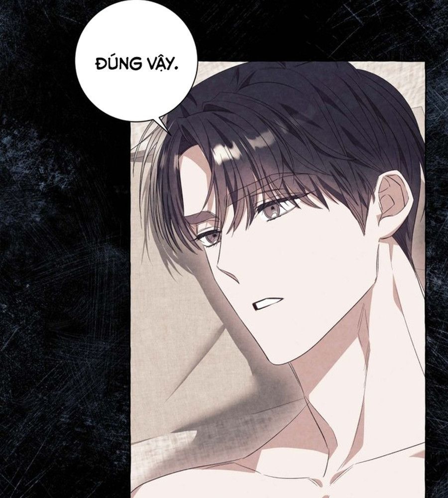 Không Phải Câu Chuyện Chuyển Sinh Thông Thường Chap 36 - Next Chap 35